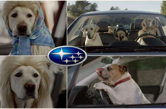 Publicité subaru