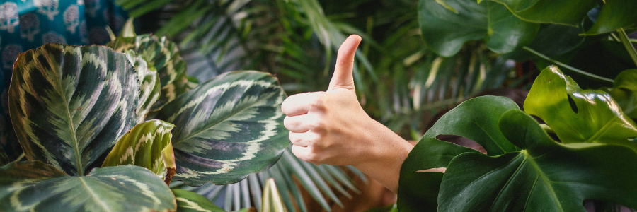 Pouce en l'air pour signifier les bienfaits d'un site web écologique