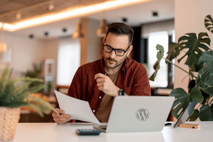 wordpress developer