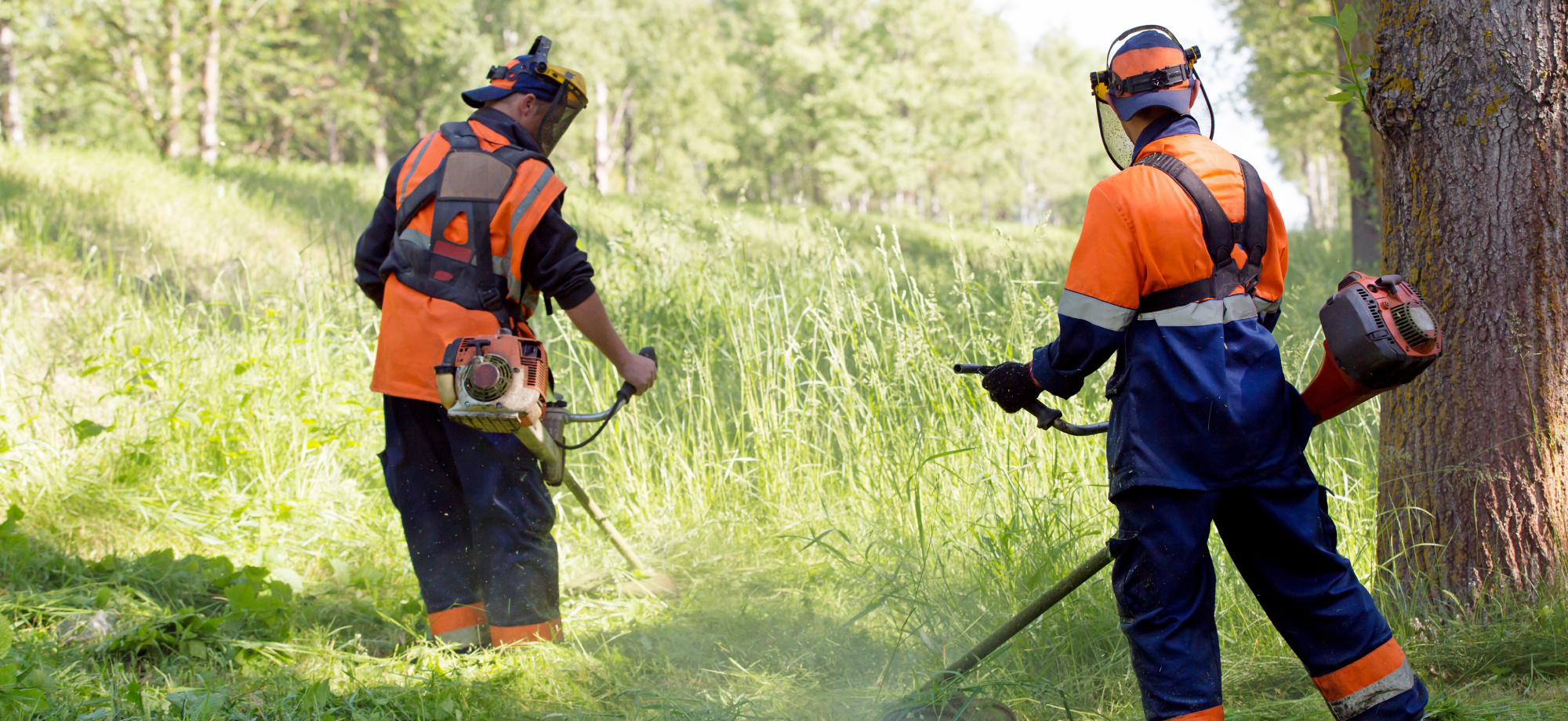 Two workers in protective gear use string trimmers to cut tall grass in a grassy field, surrounded by trees on a bright day.